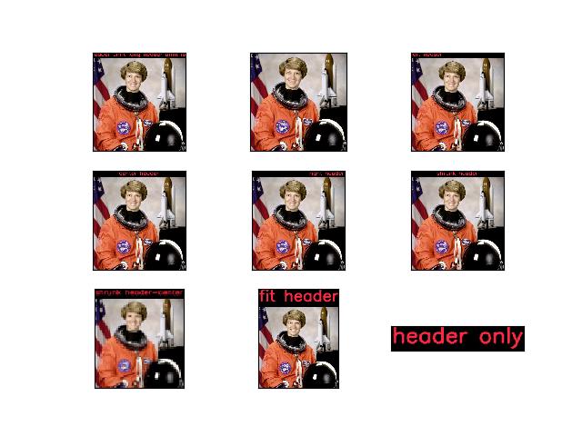 _images/fig_kwimage_draw_header_text_002.jpeg