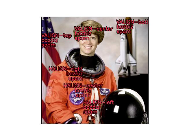 _images/fig_kwimage_draw_text_on_image_003.jpeg