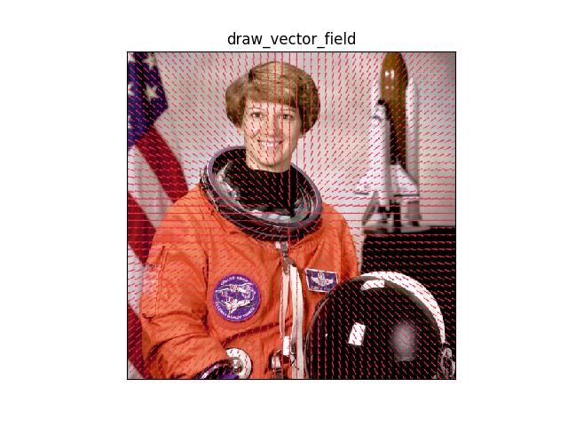 _images/fig_kwimage_draw_vector_field_002.jpeg
