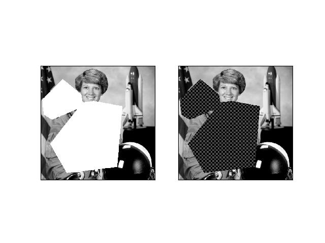 _images/fig_kwimage_im_draw_fill_nans_with_checkers_003.jpeg